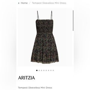 Aritzia Tempest Sleeveless Mini Dress